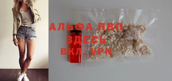 молекула духа Анжеро-Судженск