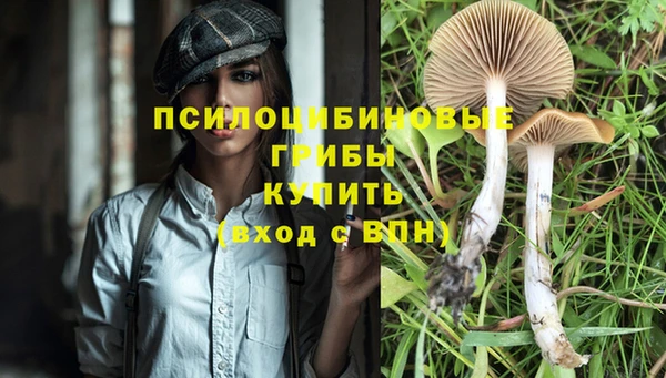 кокс Анива