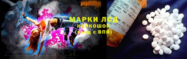 кокс Анива