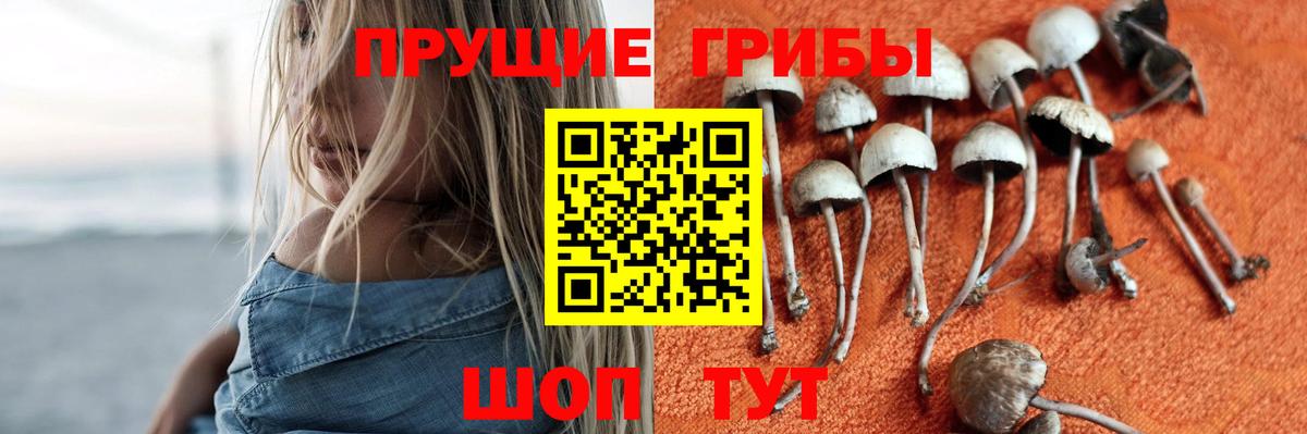 Галлюциногенные грибы ЛСД  Вход с VPN  Бор 