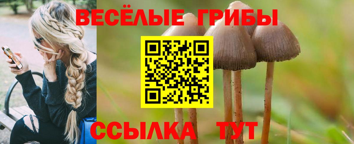 Псилоцибиновые грибы GOLDEN TEACHER Бор