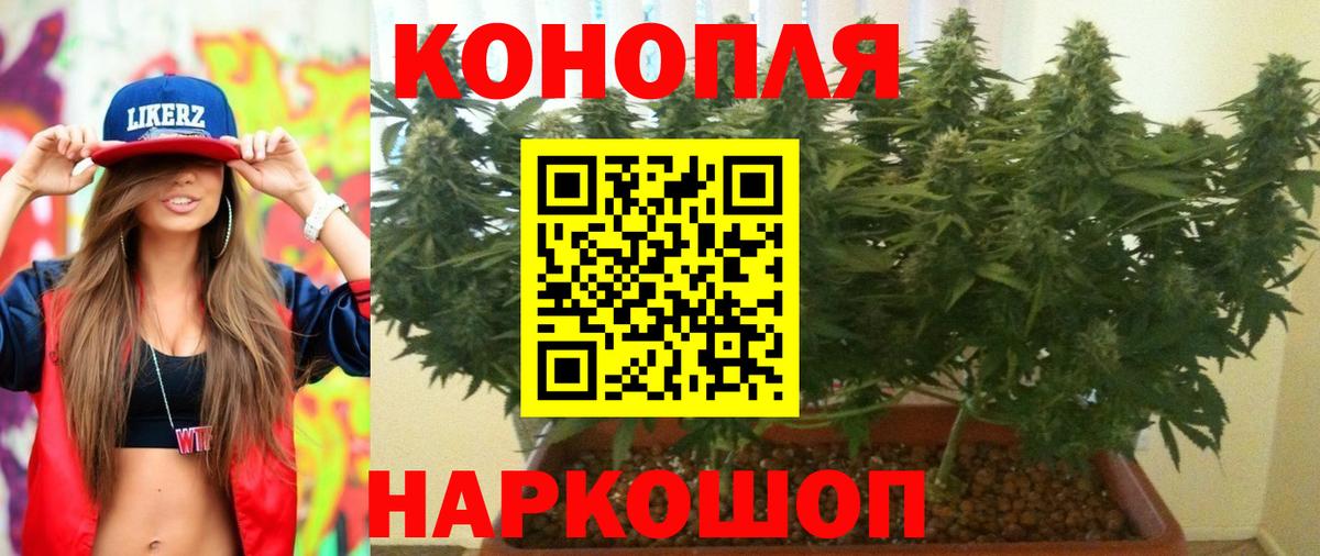 Бошки марихуана план  Вход с VPN  Бор  Каннабис Ganja  Марихуана Amnesia 